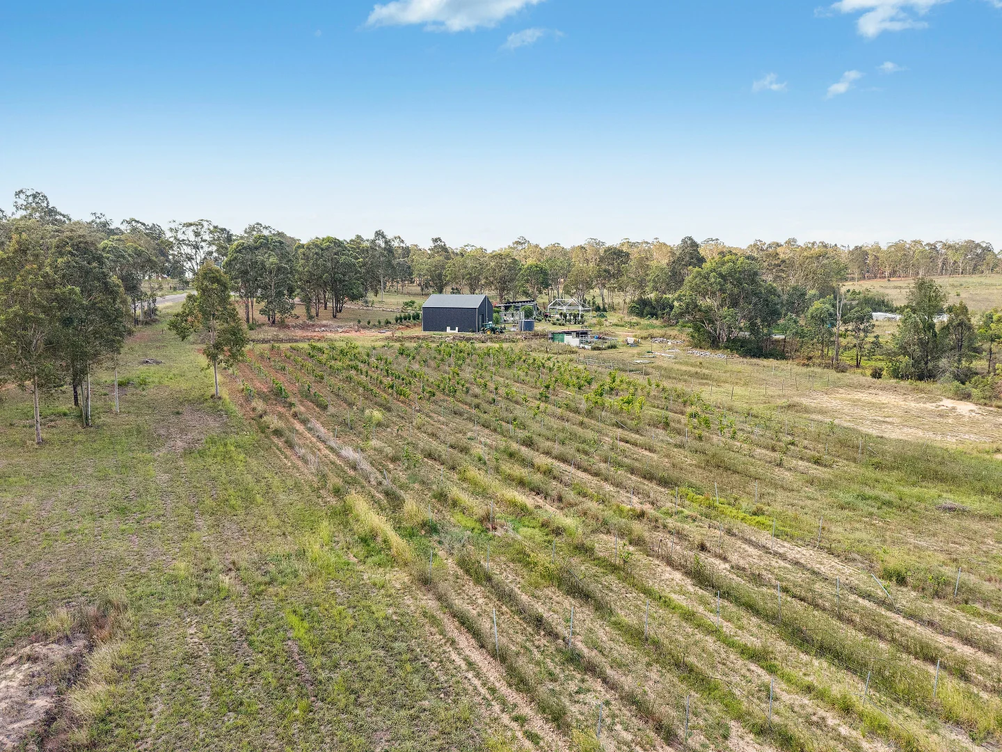 Additional image 9 of 696 Mcdonalds Road, Pokolbin NSW 2320