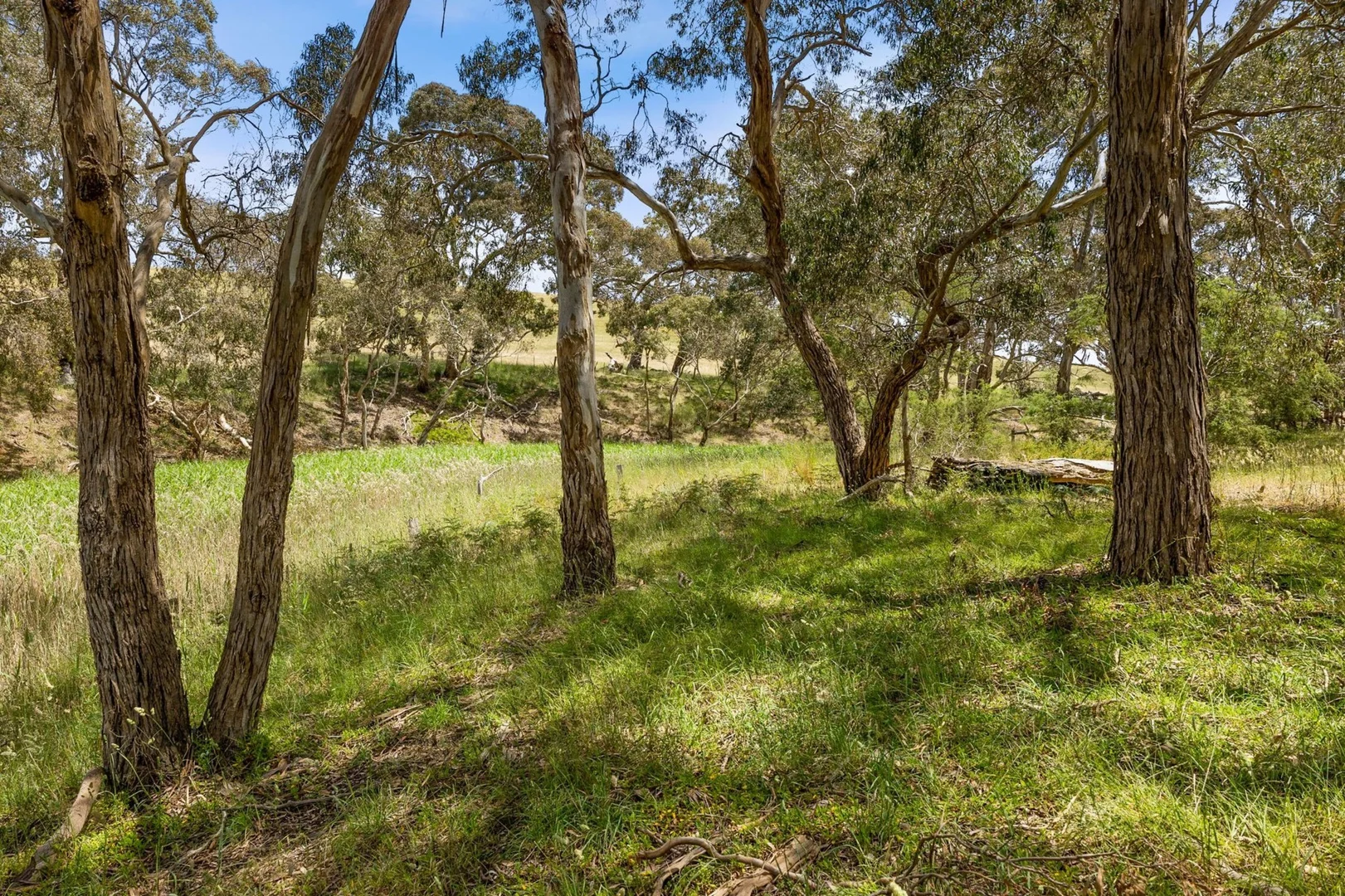 Additional image 28 of 231 Grossmans Road, Torquay VIC 3228