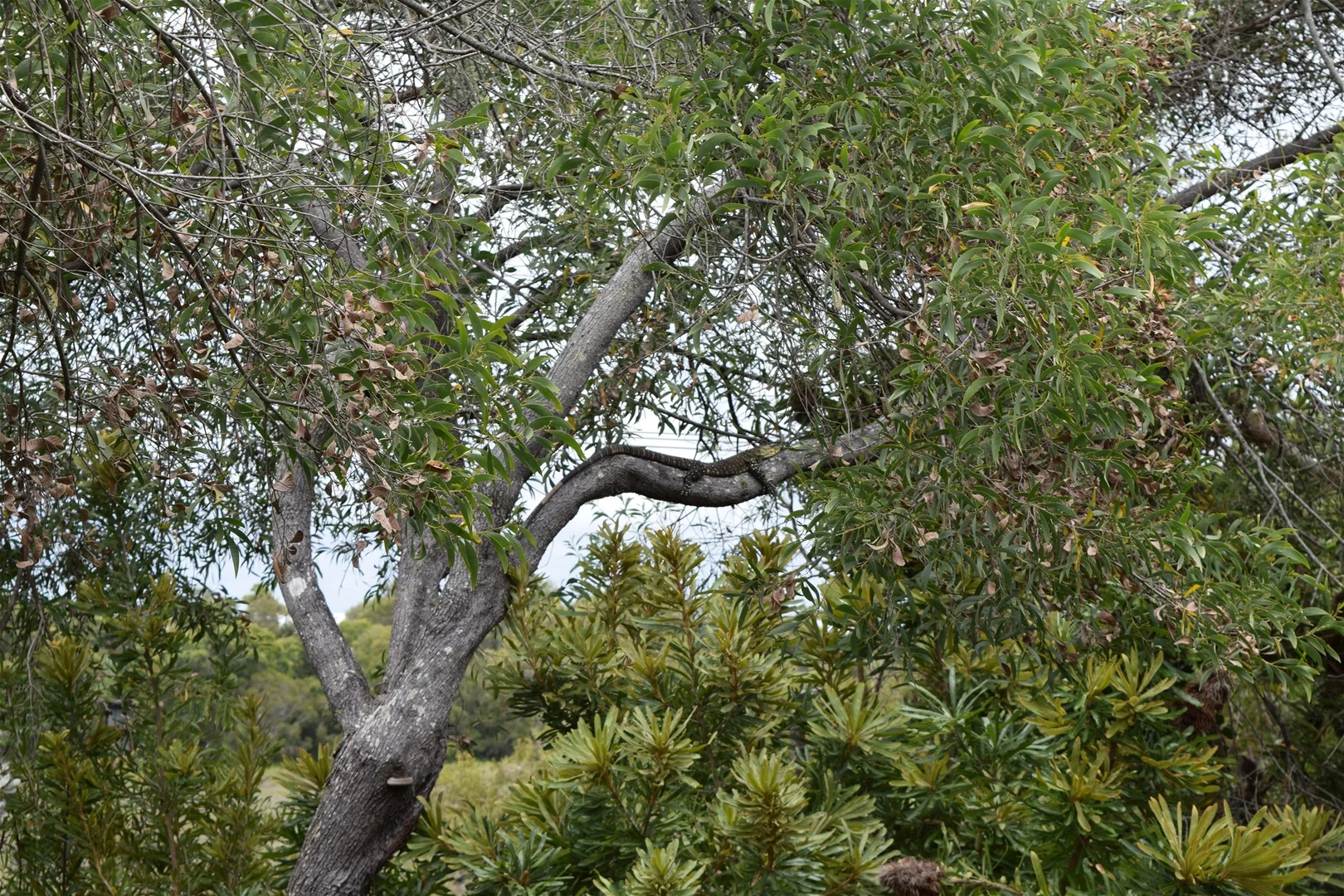 Additional image 15 of Peregian Beach QLD 4573