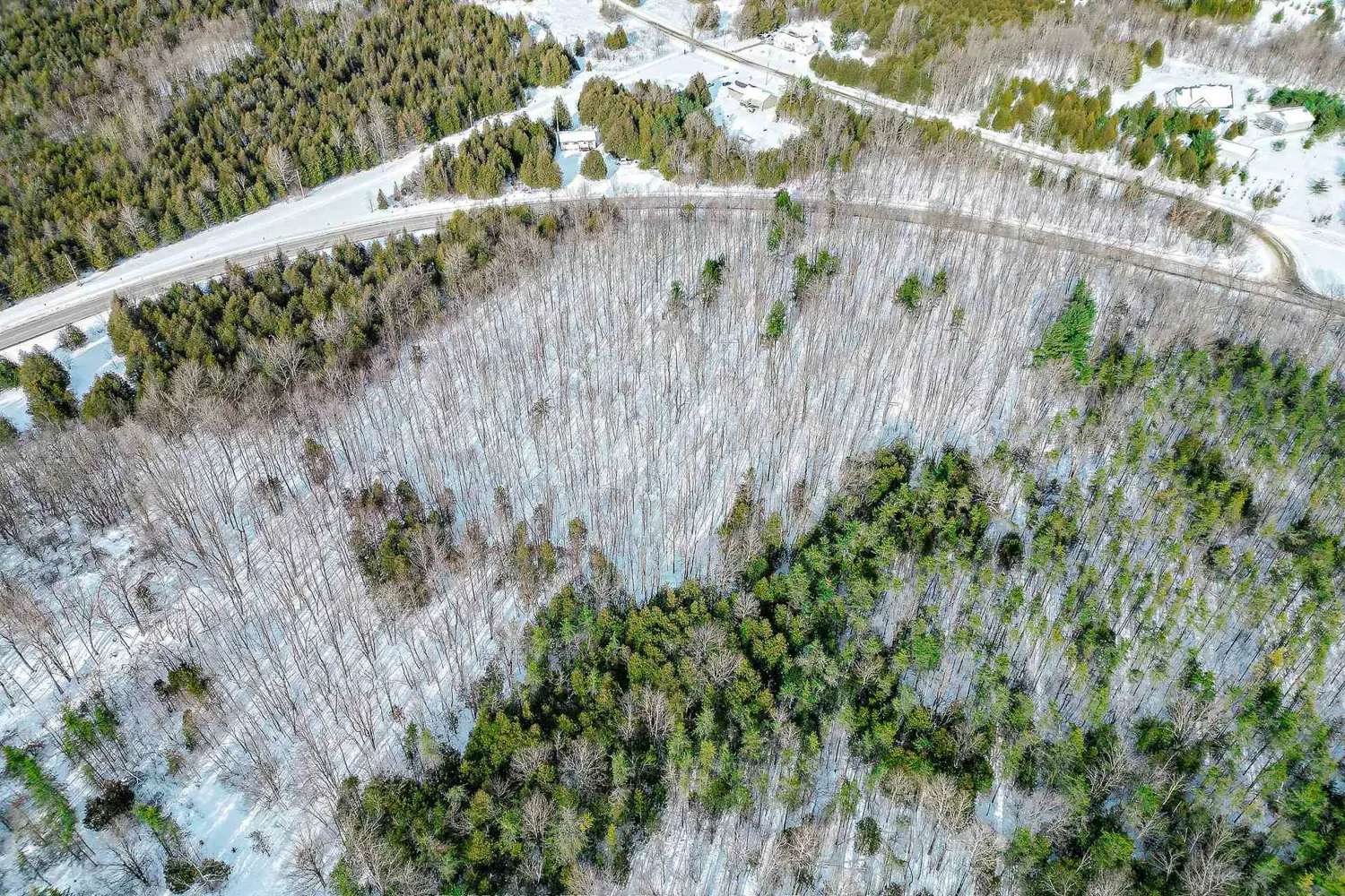 Additional image 3 of 7401 County Road 21 Acres