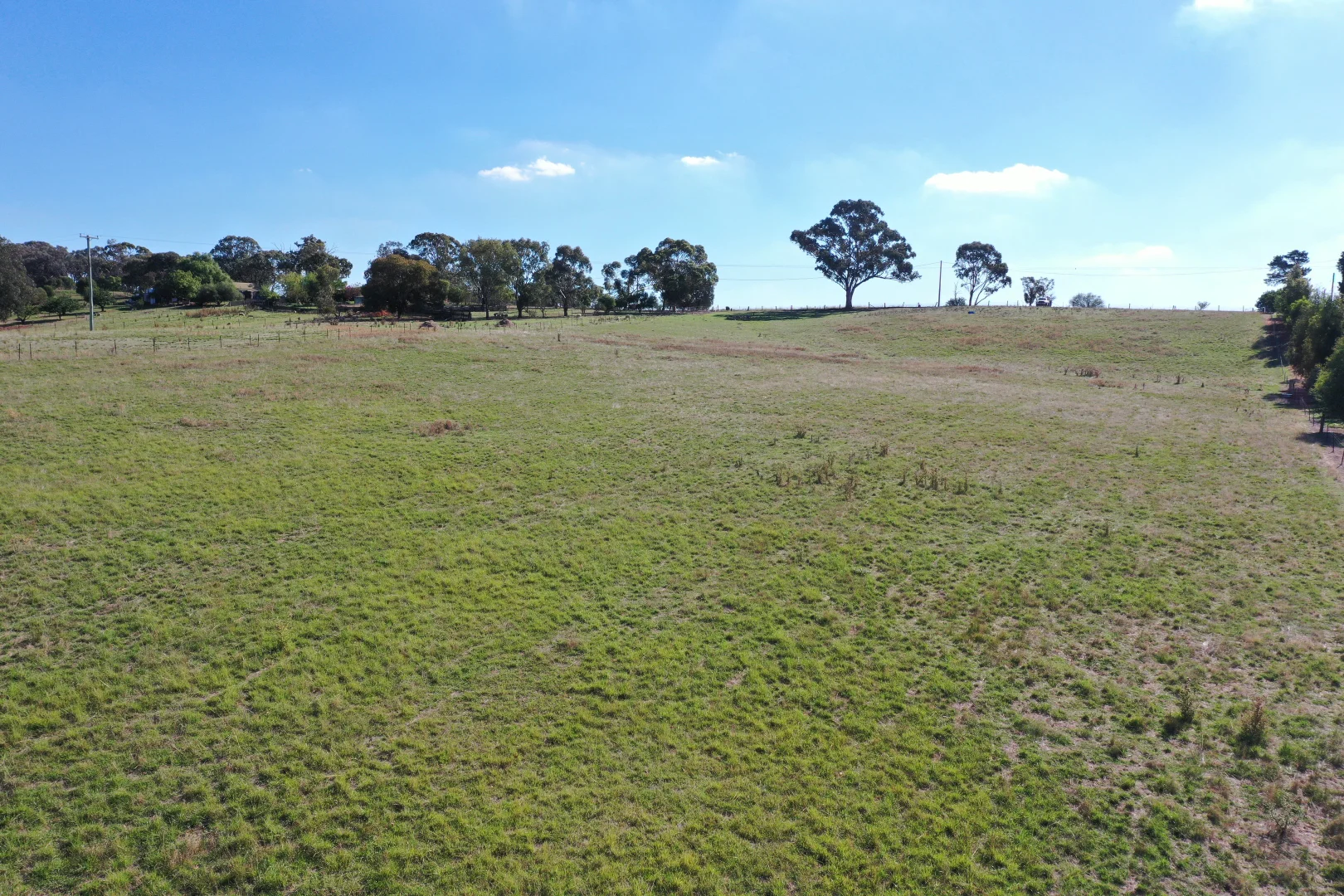 Additional image 5 of 61 Tierneys Road, Young NSW 2594