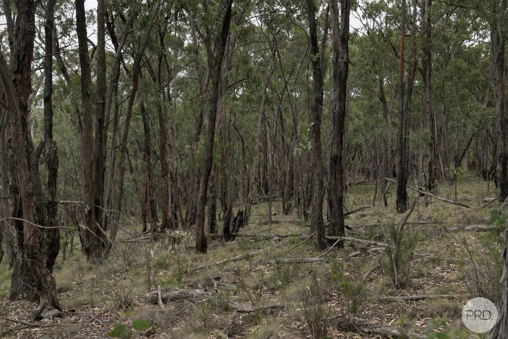 Additional image 9 of Lot 5 Haighs Lane, Snake Valley VIC 3351