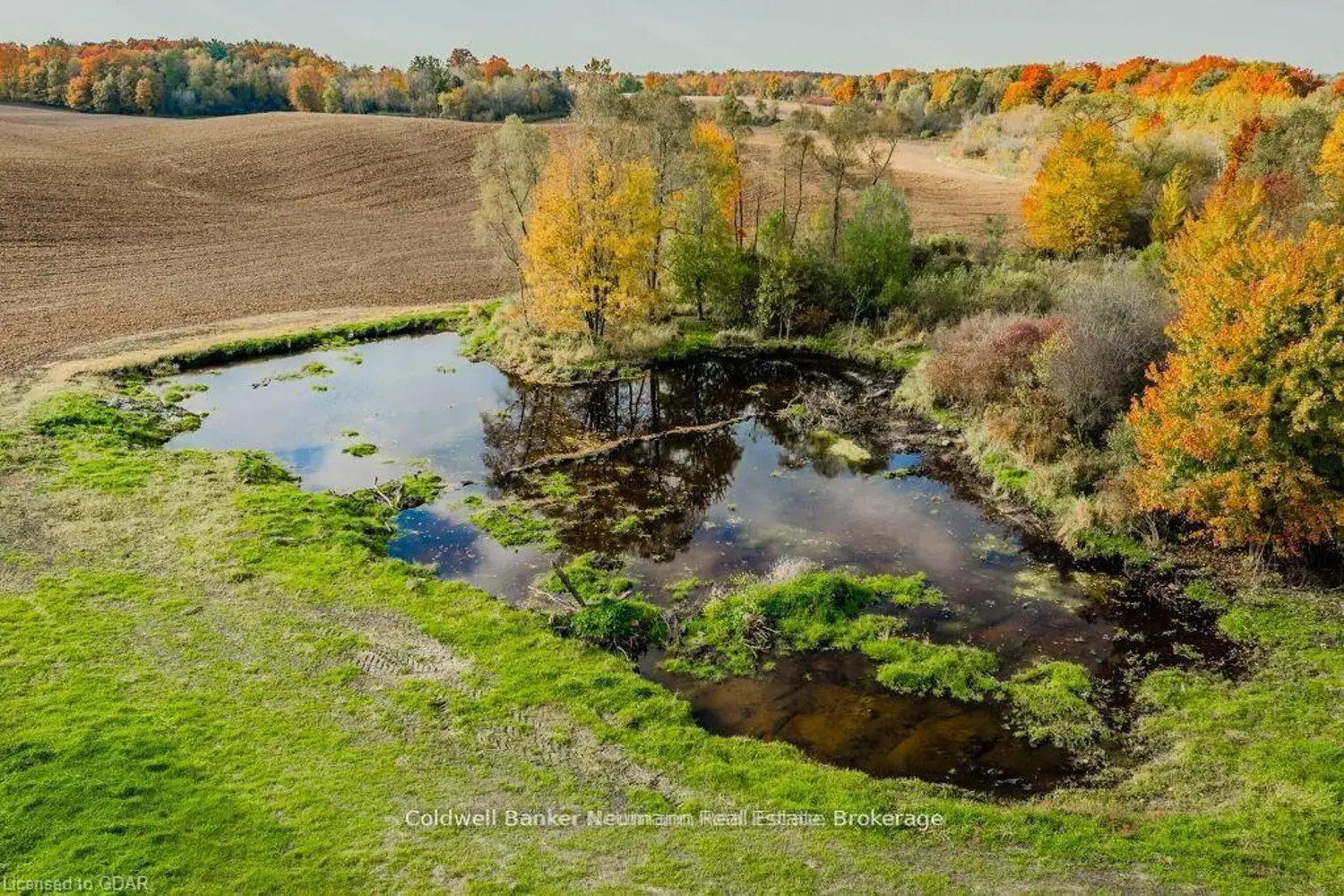 Additional image 13 of 3757 Mossley Drive