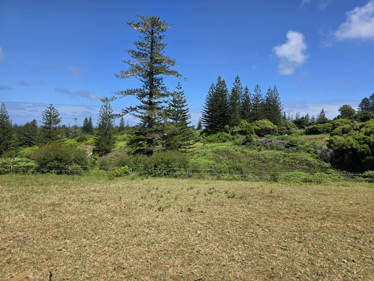 Additional image 4 of 76j5 New Farm Road, Norfolk Island NSW 2899