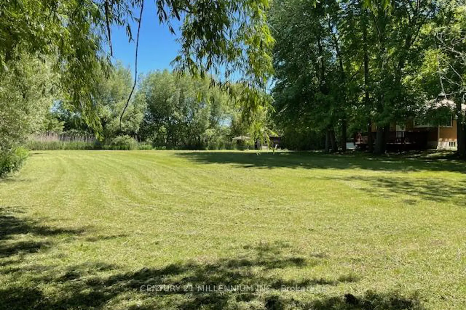 1027 Chapman Street photo 3