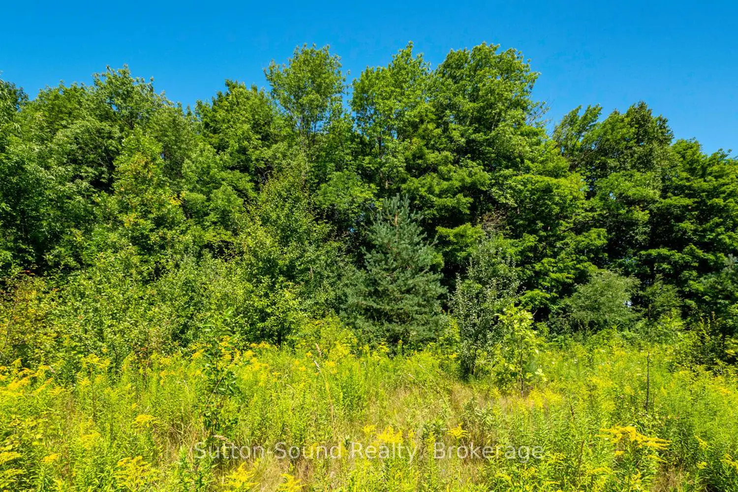 Additional image 4 of 31 Everett Road