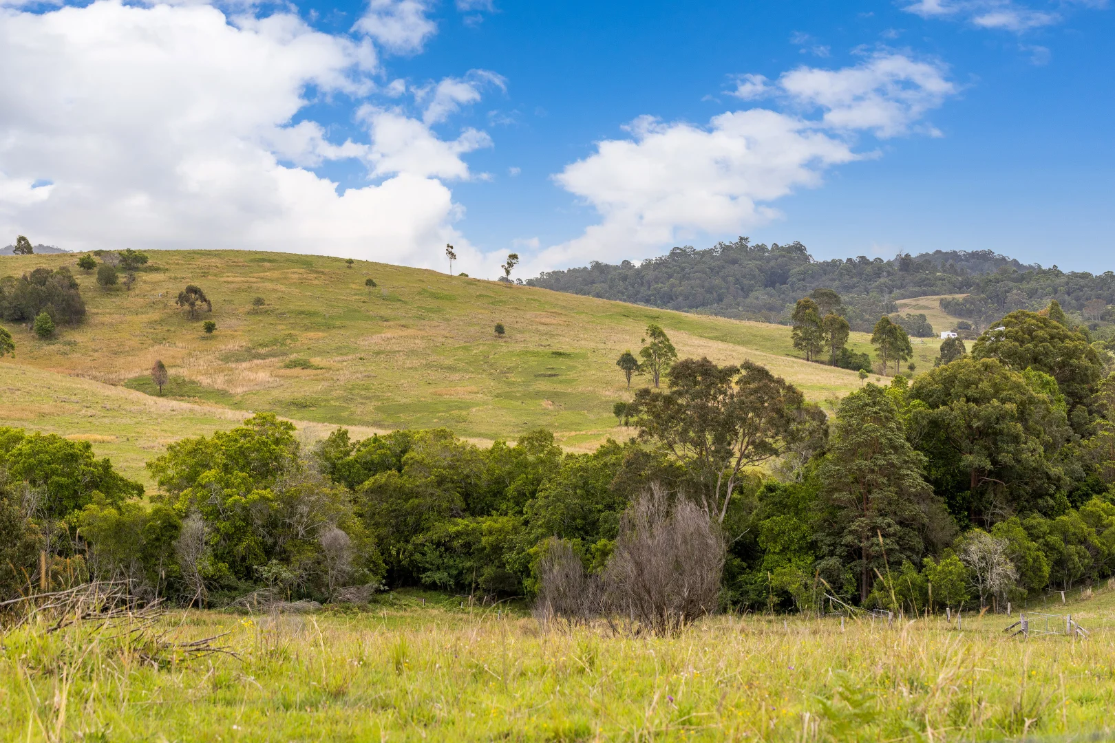 Additional image 5 of 87 Norries Road, Bunyah NSW 2429