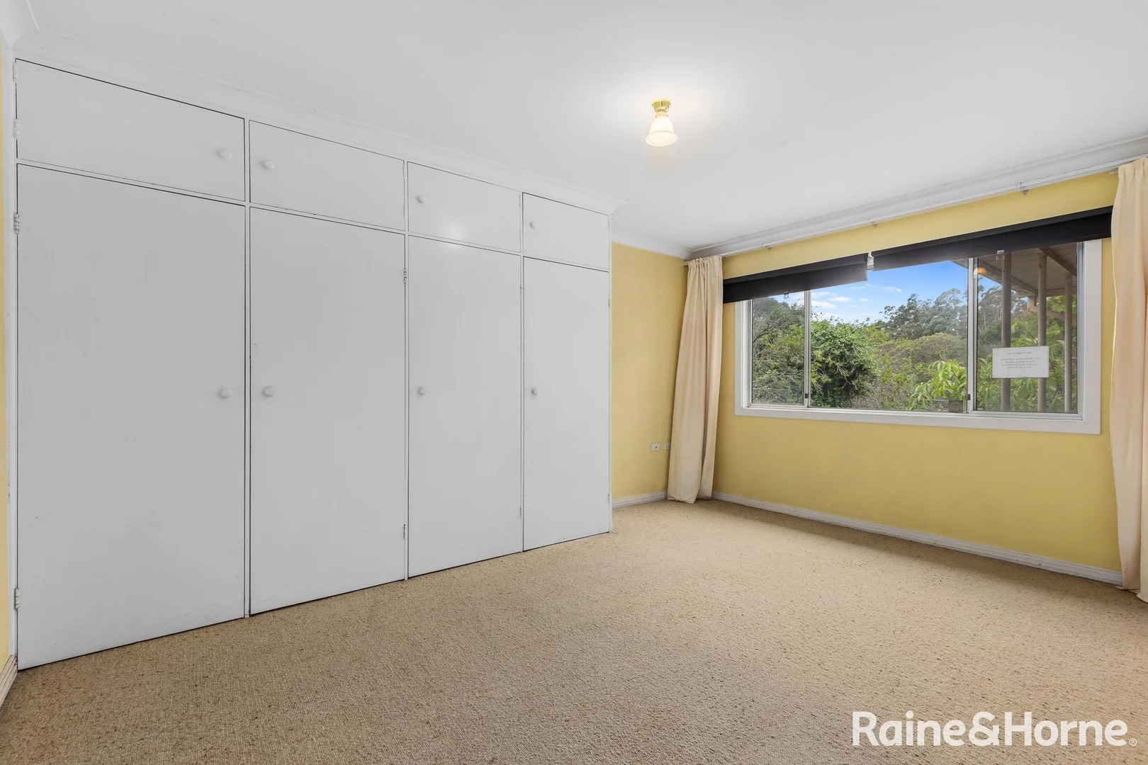 Additional image 6 of 23 Canonbury Grove, Bexley North NSW 2207