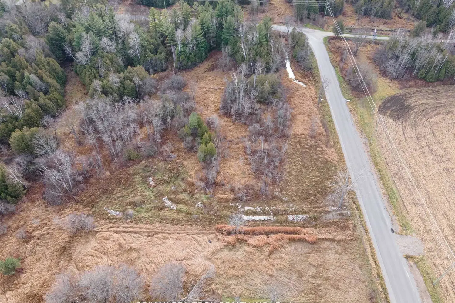 305 Brimley Road photo 3