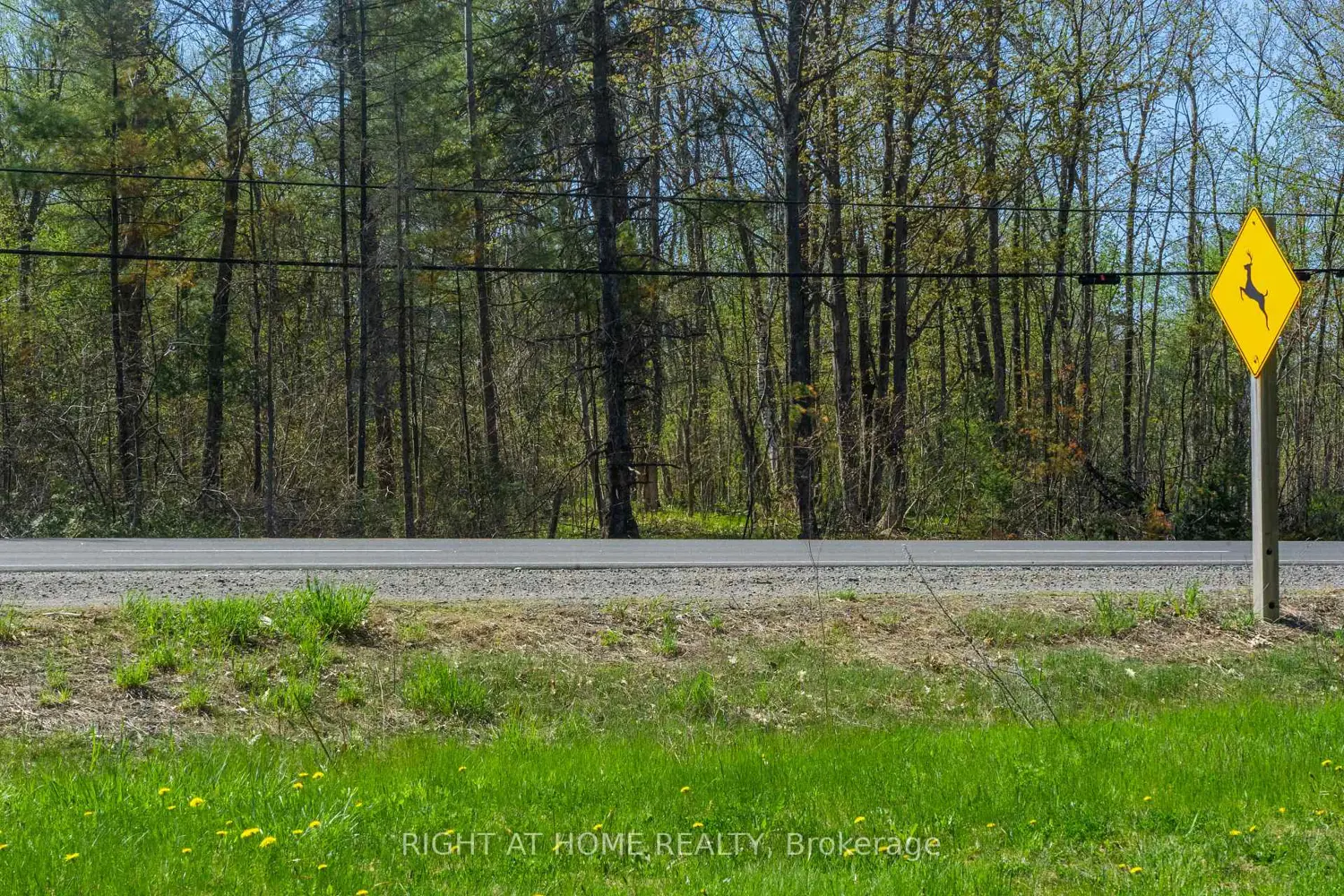 00 Hwy 7 Highway photo 2