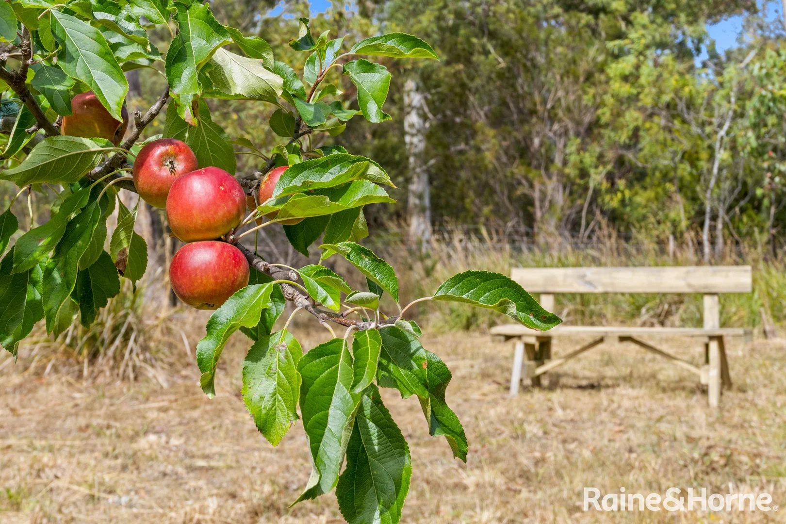 Additional image 22 of 161 Sandfly Road, Margate TAS 7054