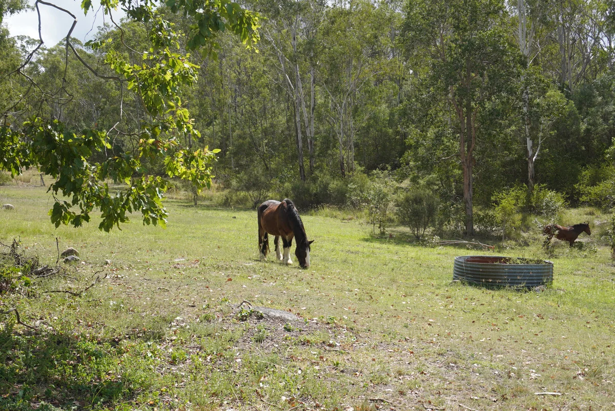 Additional image 37 of 487 Paddys Flat Road, Tabulam NSW 2469