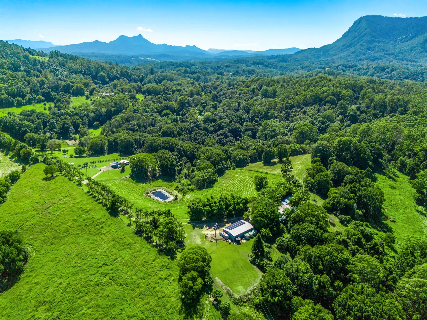 Additional image 29 of 61 Tallowood Road, Lillian Rock NSW 2480