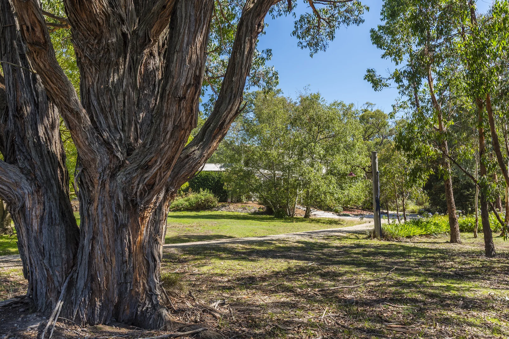 Additional image 26 of 103 Royal Parade, Riddells Creek VIC 3431