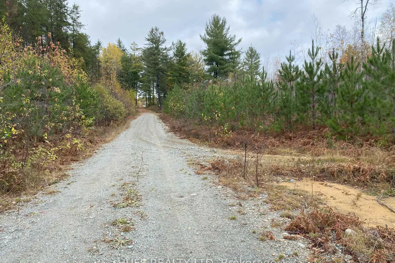 Lot 1 Con 5 Marter 54R-6396 Road
