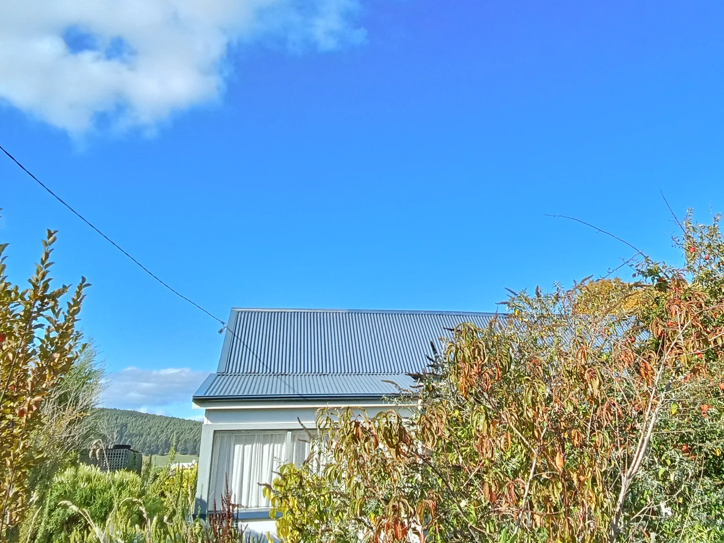 Springfield TAS 7260 photo 5