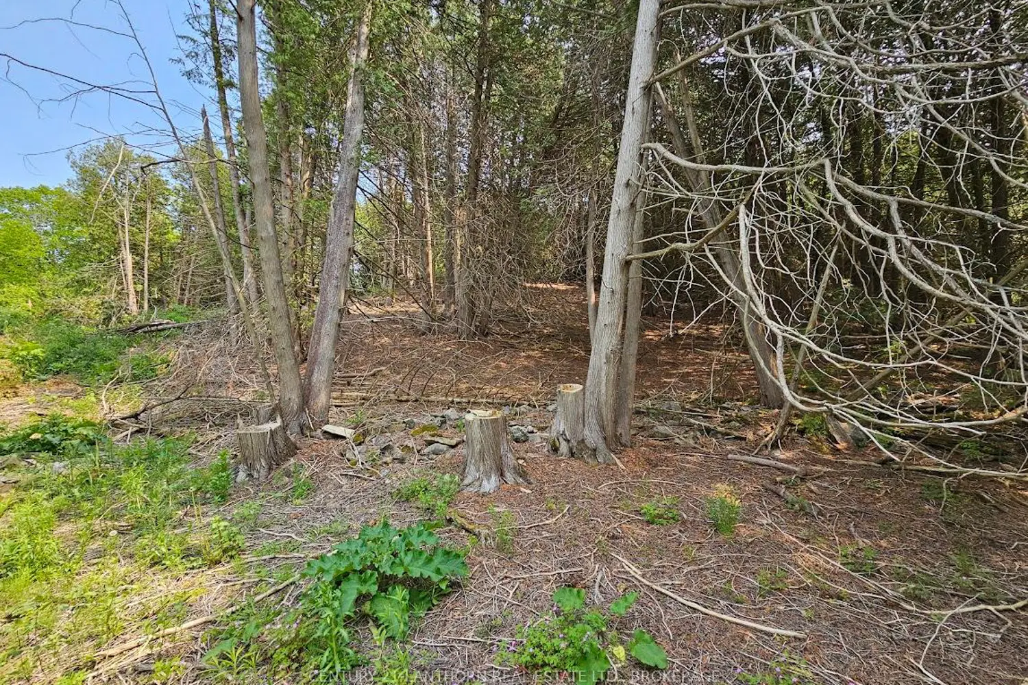 Additional image 11 of 0000 Cedarstone Road