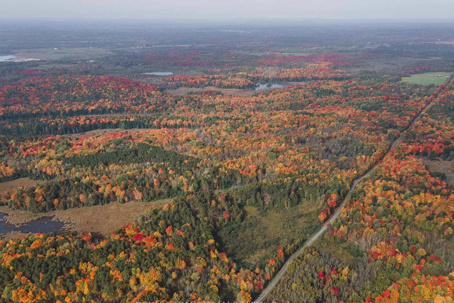 Additional image 9 of Lot 7 10Th Concession B Road