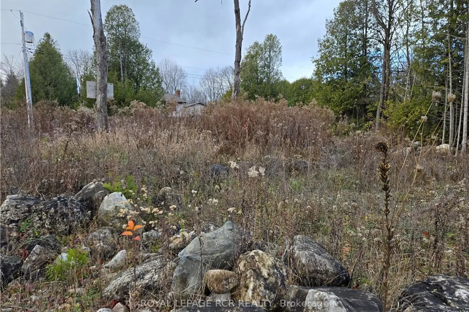 Additional image 9 of Ptlt8es Salter Street
