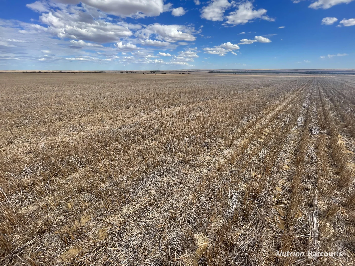 Additional image 4 of . McRoberts Road, Tenindewa WA 6632