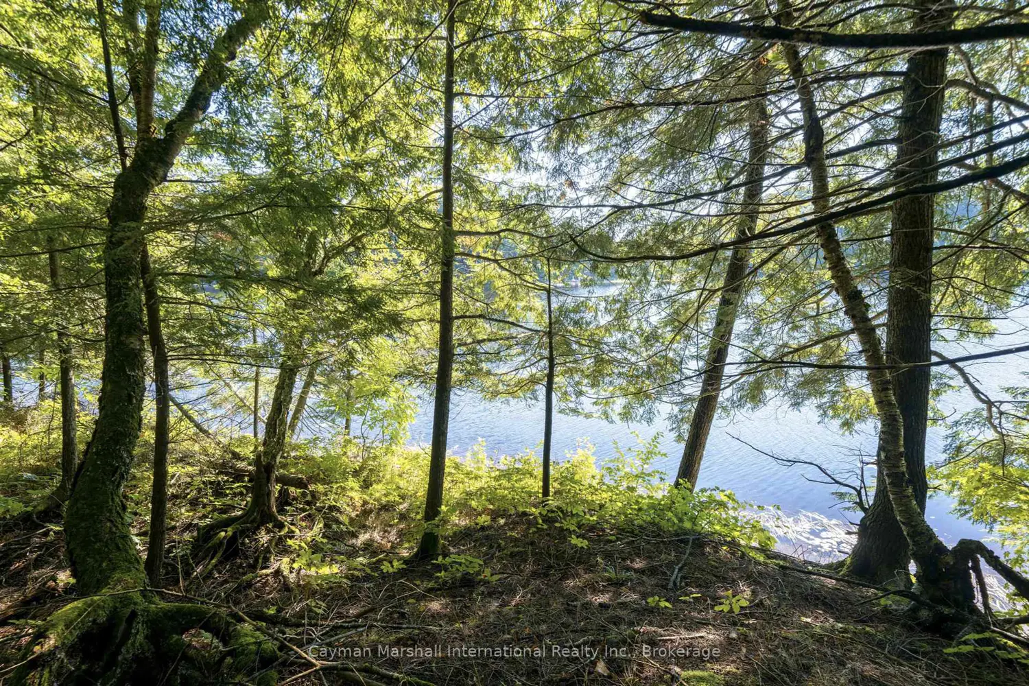 Additional image 8 of 10 Stillwater Lane