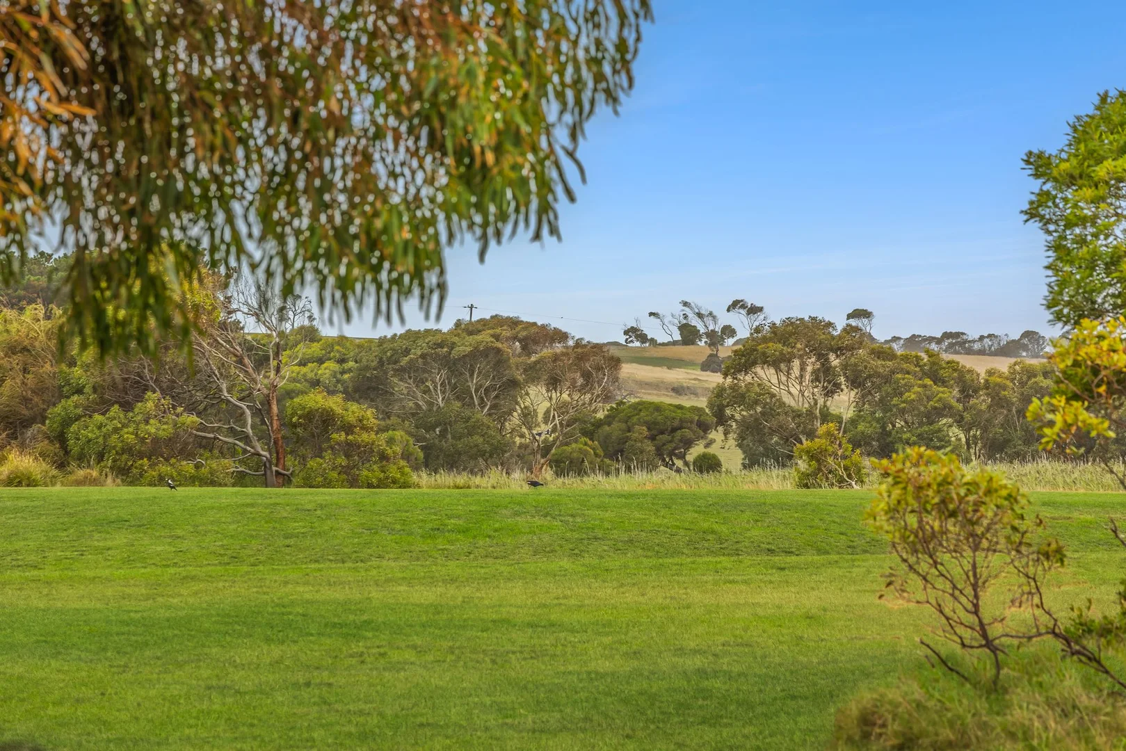 Additional image 4 of 131 Bonnyvale Road, Ocean Grove VIC 3226