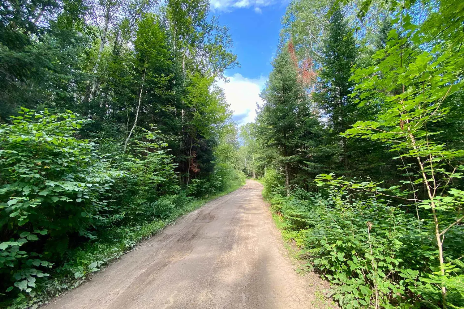 Additional image 11 of 0 Conc. Rd 10 And 11 Concession