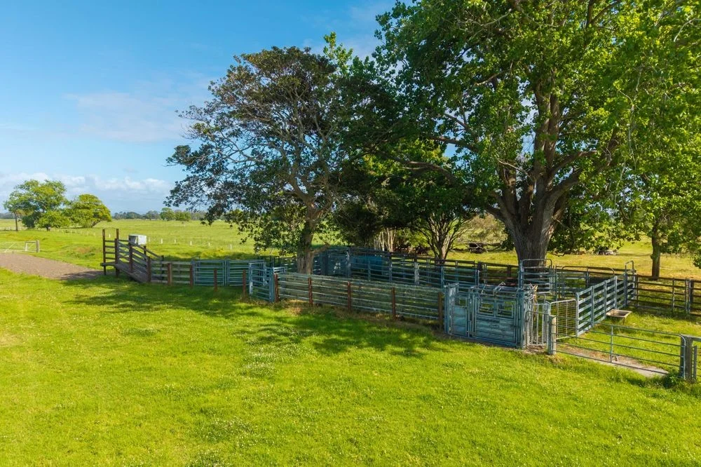 Additional image 4 of 54 Back Creek Road, Kinchela NSW 2440