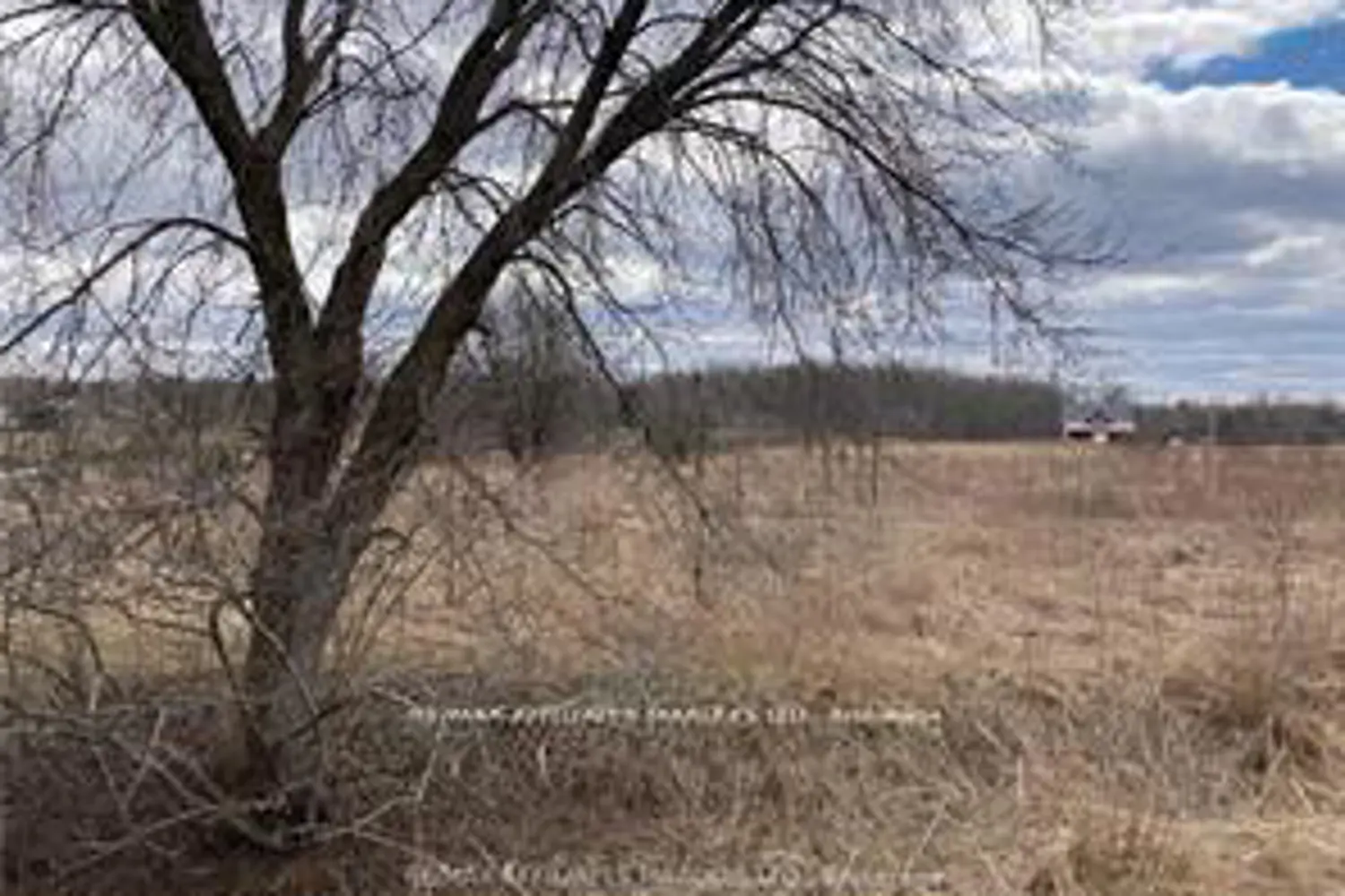 Additional image 5 of Lot South Branch Road