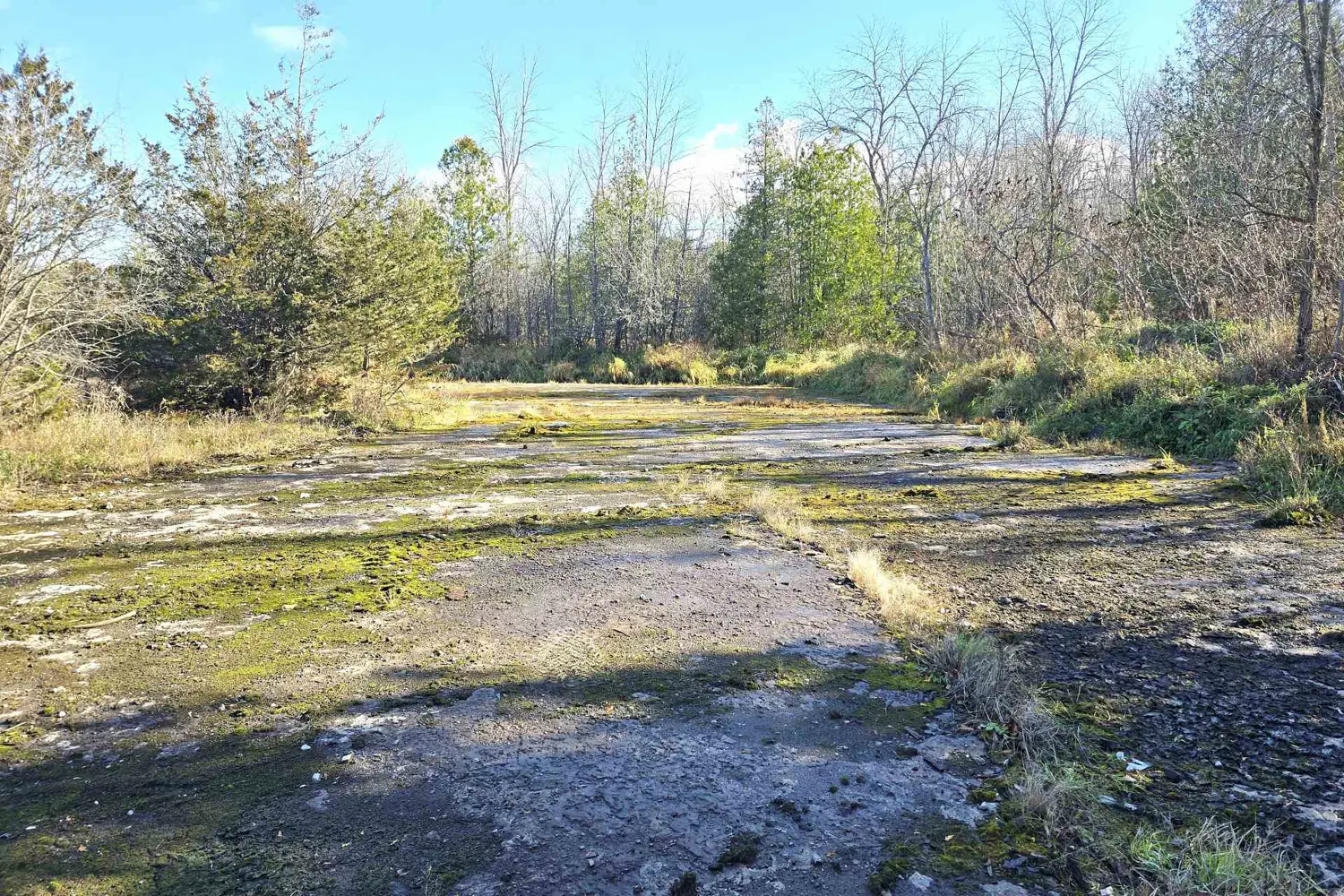 Additional image 10 of 0 Enright Road