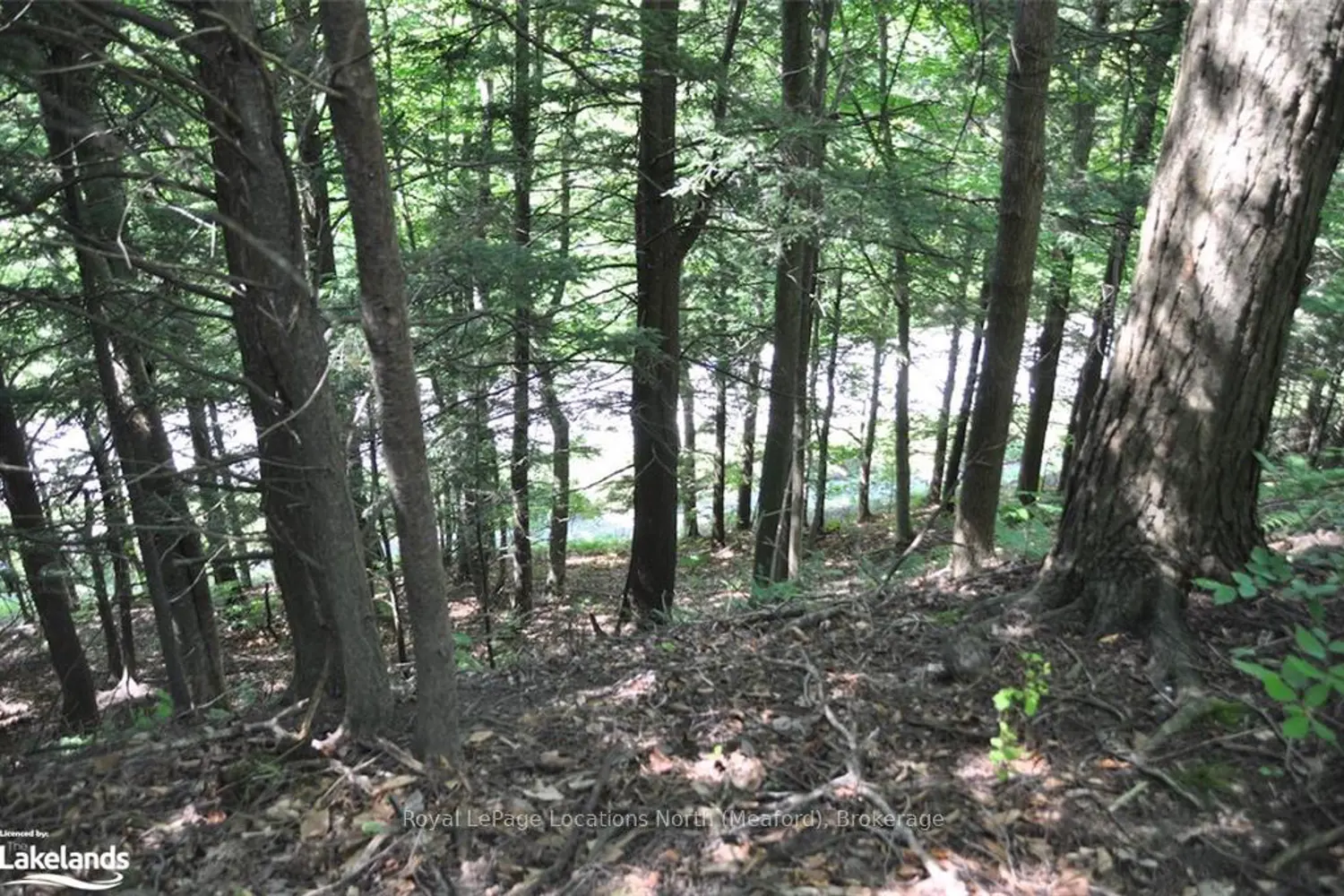 Additional image 6 of Lot 21 Bayshore Road