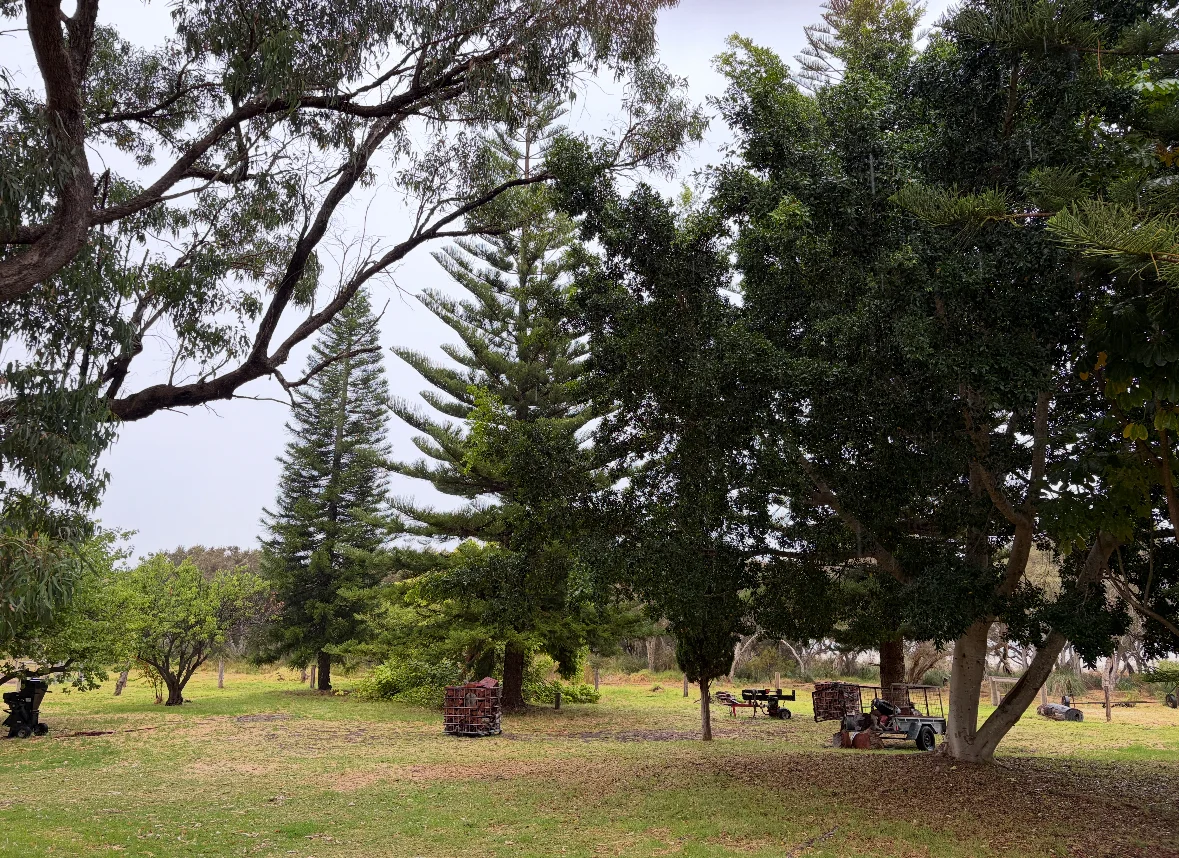 Additional image 14 of 74 Newnham Road, Lake Clifton WA 6215