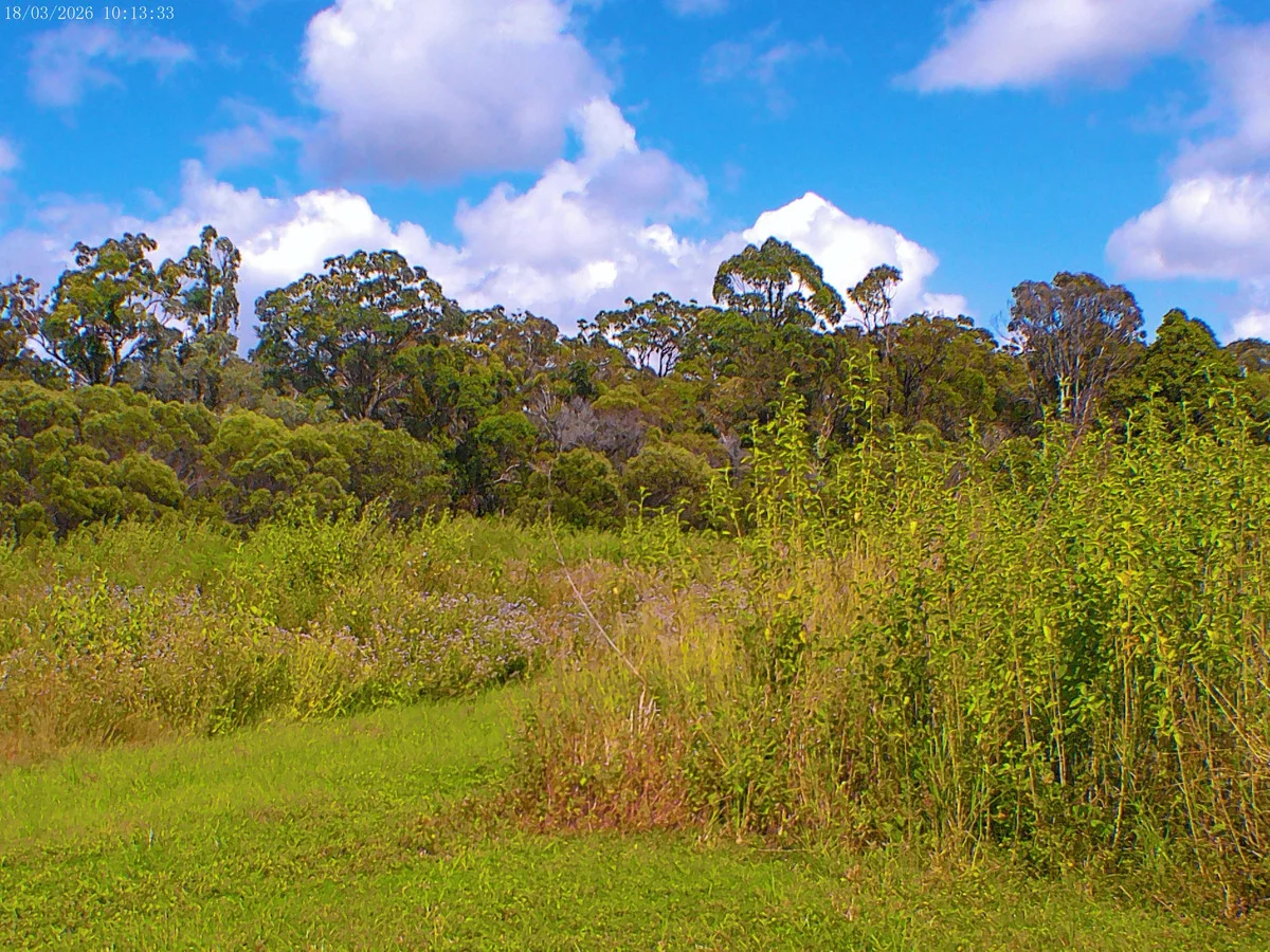 Additional image 3 of 2/71 Bartholdt Drive, Branyan QLD 4670