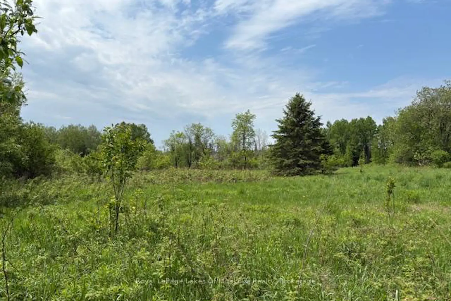 Additional image 11 of 351 Ravenscliffe Road