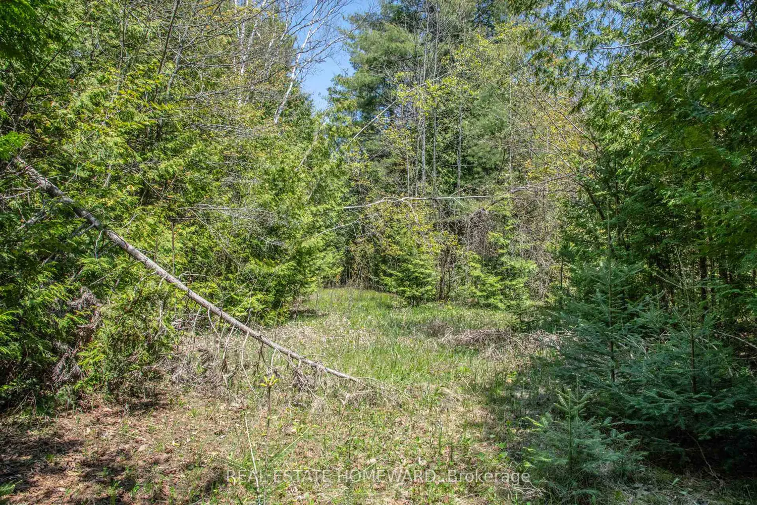 Additional image 2 of P/L35 Con 5 Bull Road