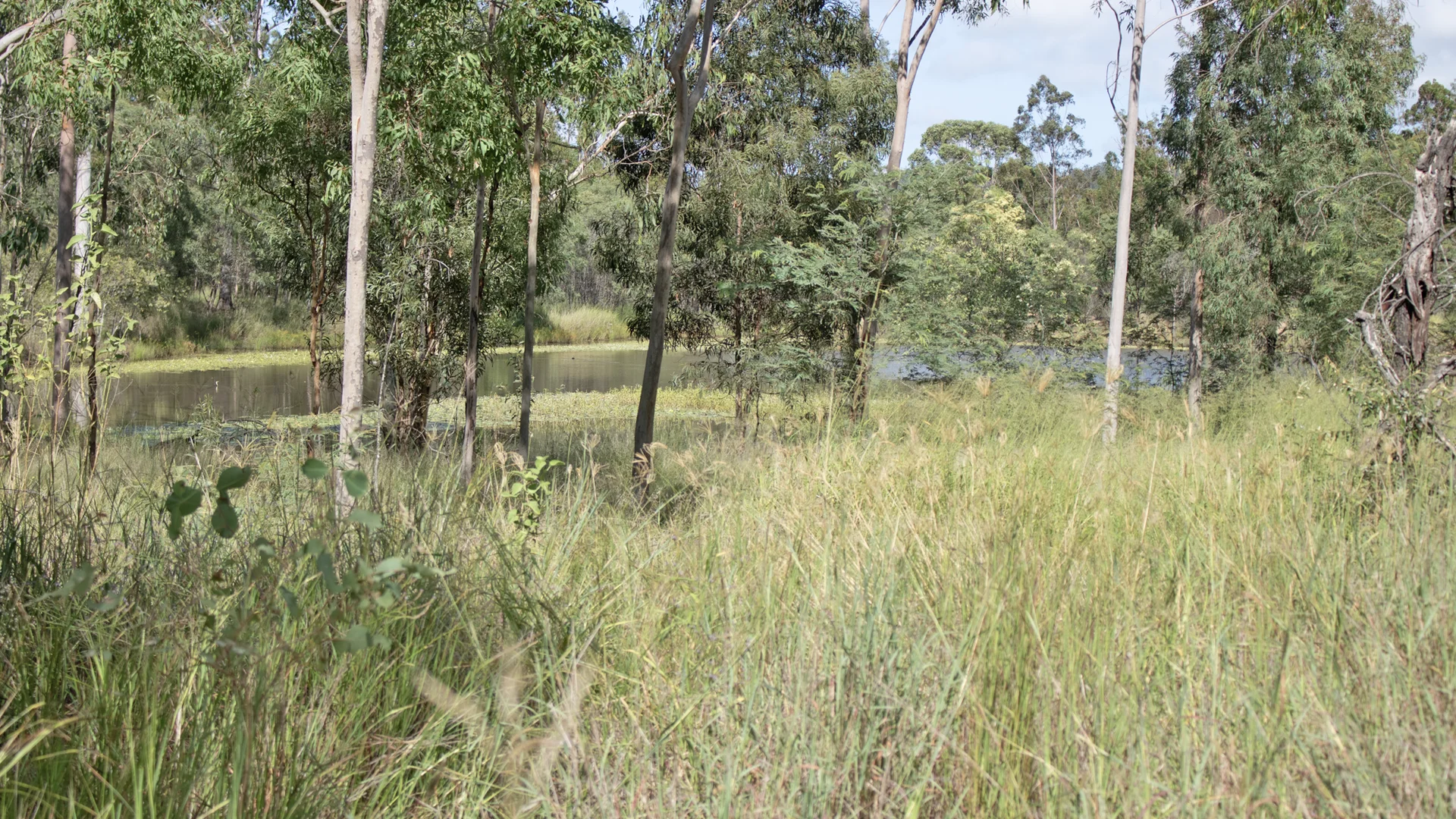 Lot 1/MPH22711 Burnett Highway, Eidsvold QLD 4627 photo 4