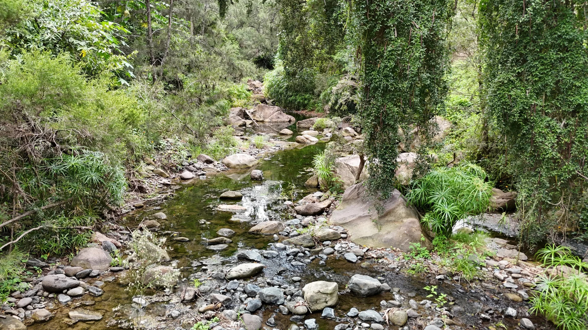 Additional image 47 of 3 Dalton Road, Mount Berryman QLD 4341