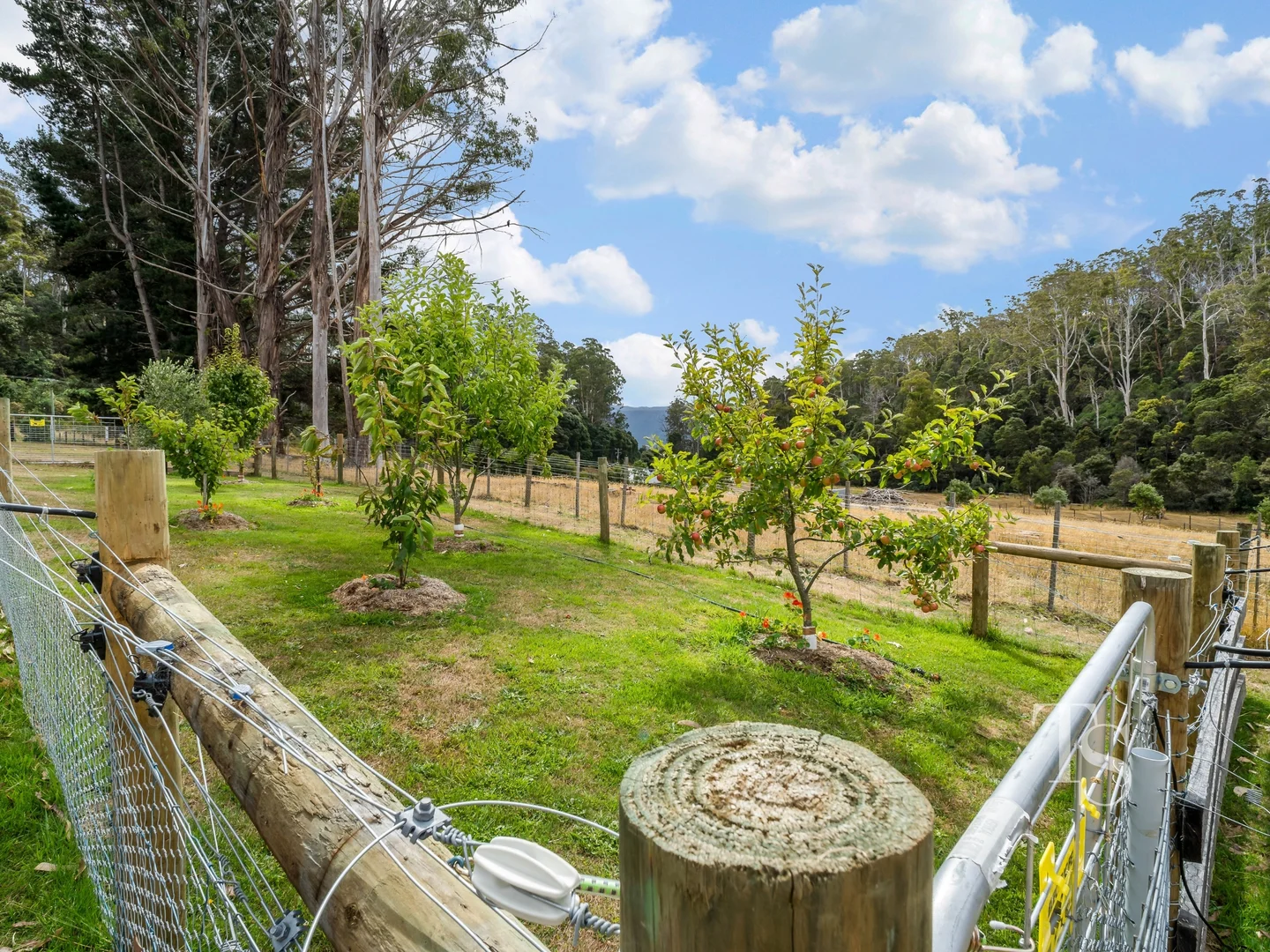 Additional image 18 of 429 Liena Road, Mole Creek TAS 7304