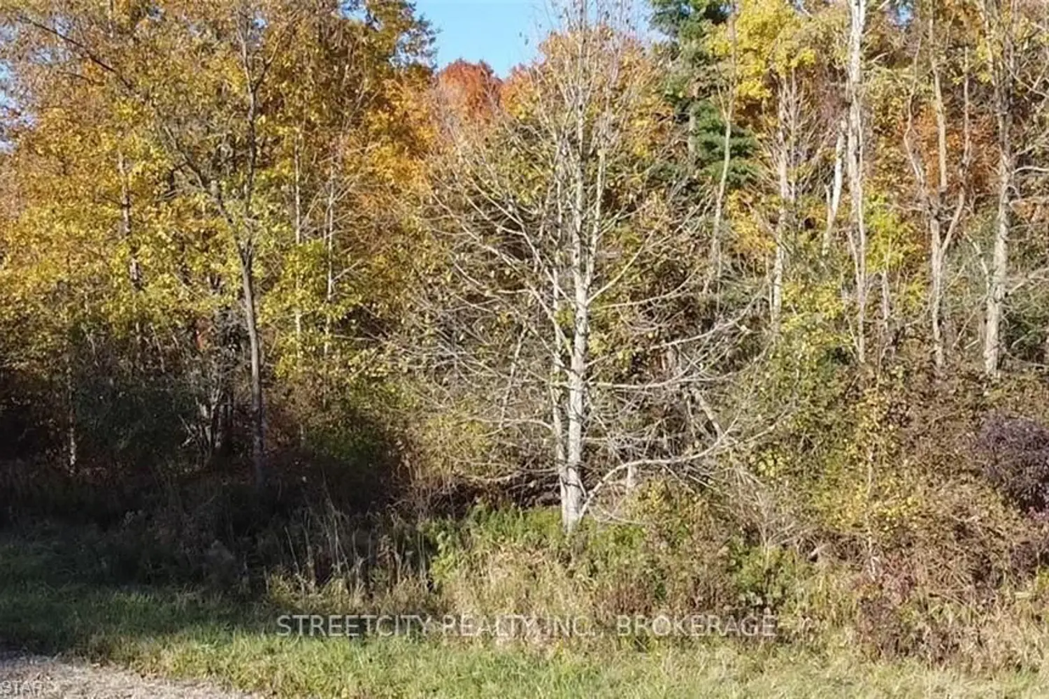 Additional image 8 of 47220 Dexter Line
