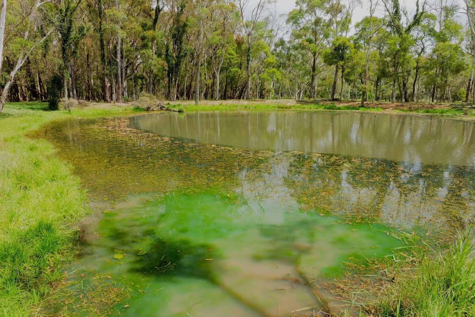 Additional image 12 of 1180 Sheepwash Road, Fitzroy Falls NSW 2577