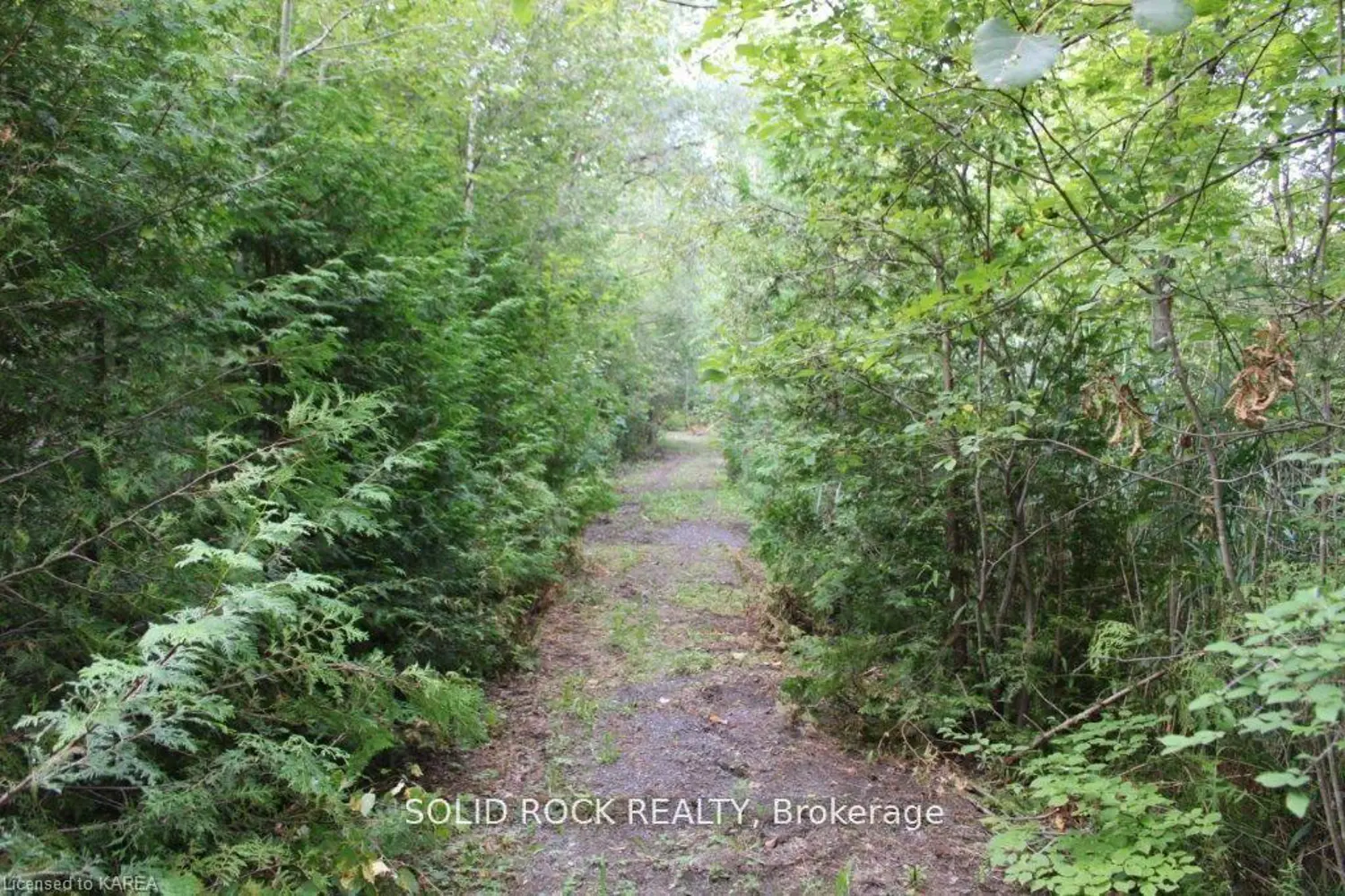 2209 Jochem Road photo 2
