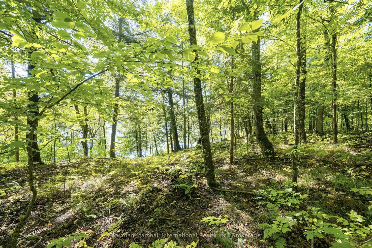 Additional image 6 of 40 Stillwater Lane