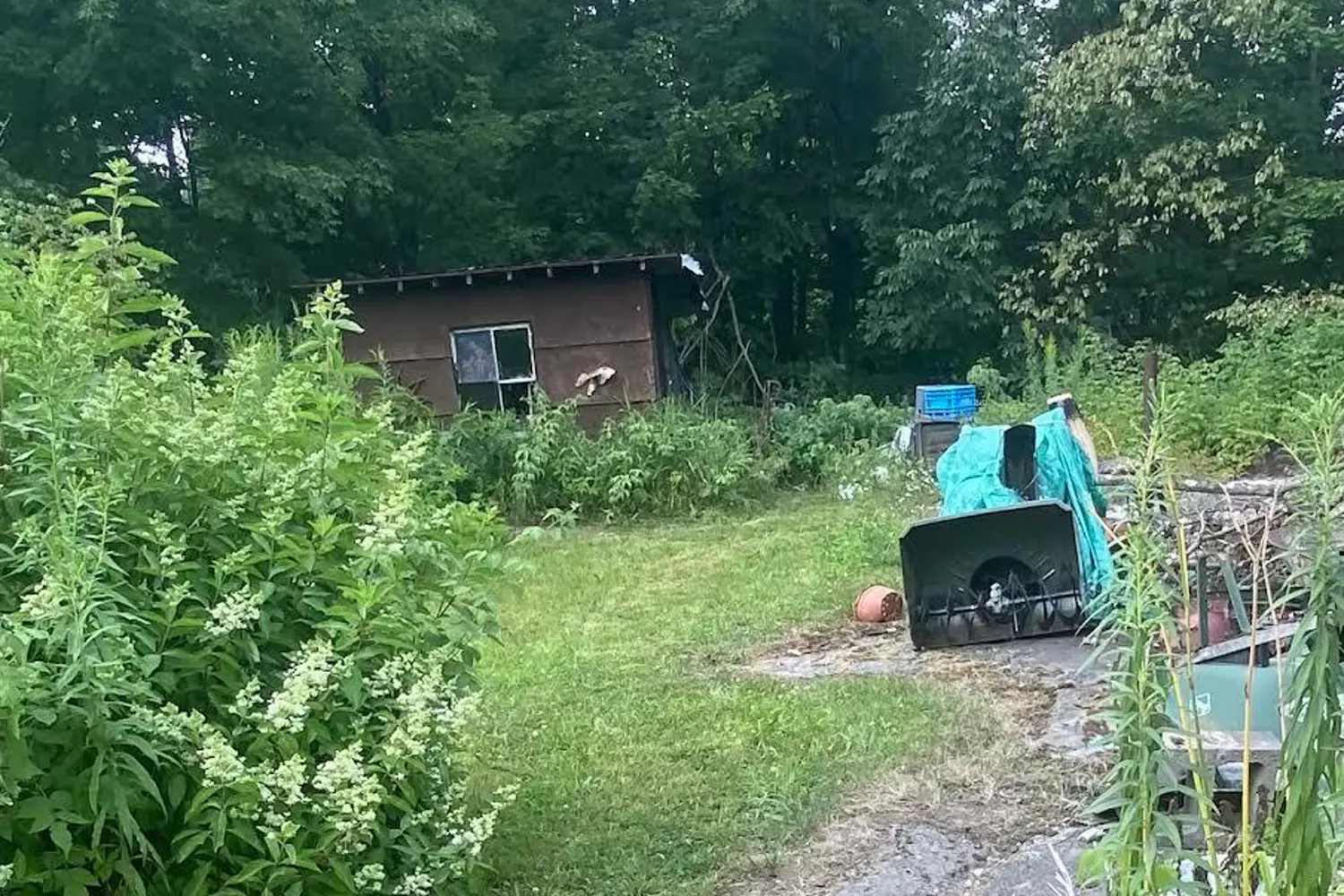 Additional image 11 of 1104 Hawn Road