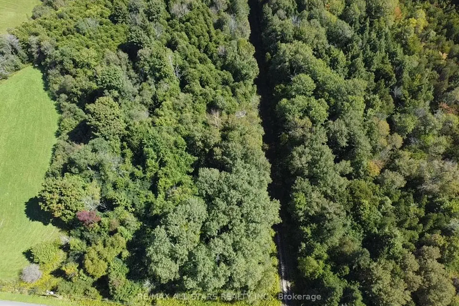 Additional image 9 of 0 Owen Road