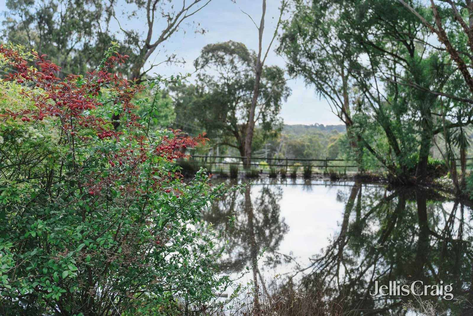 Additional image 19 of 45-49 Moore Avenue, Montrose VIC 3765