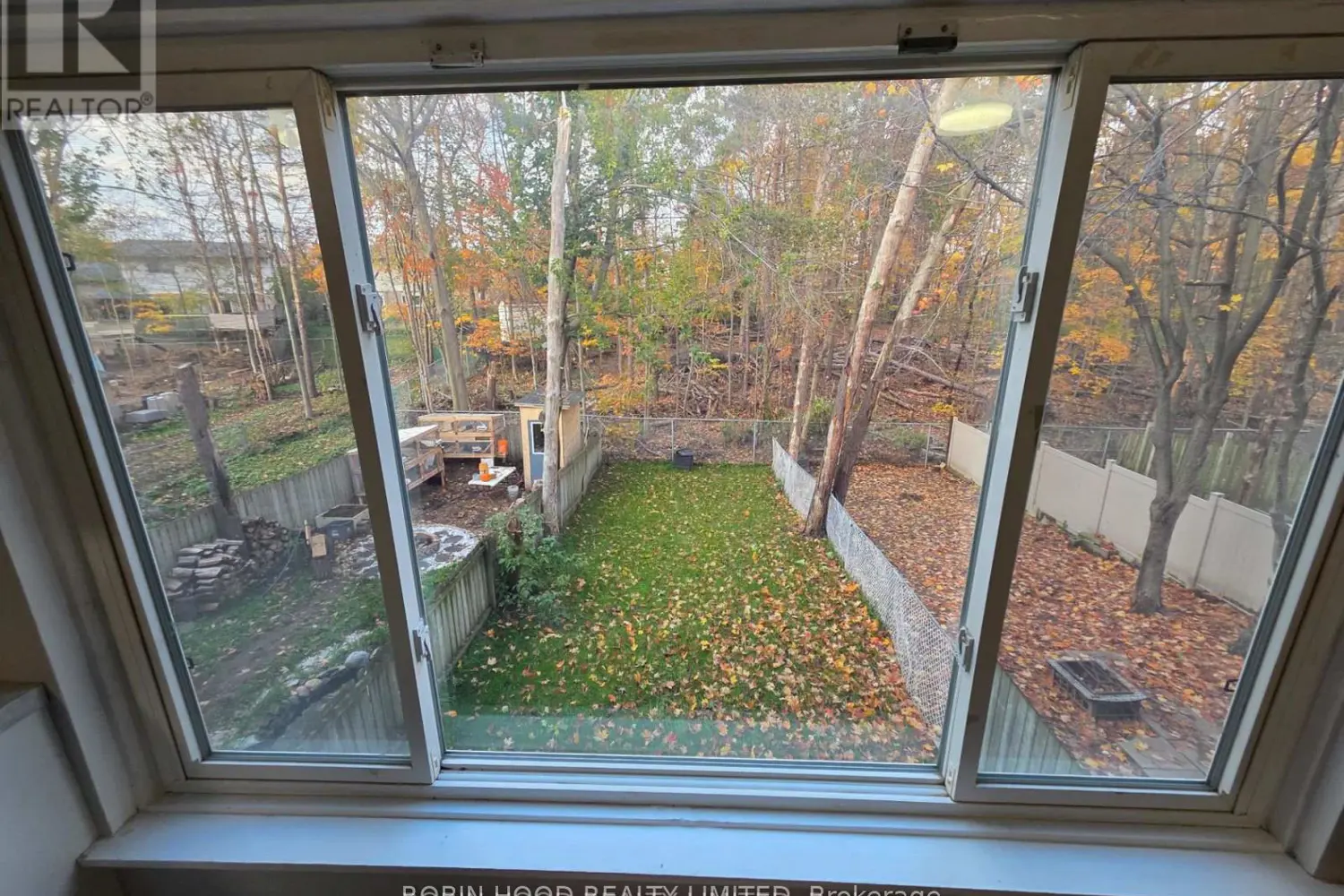 59 Scott Crescent photo 4