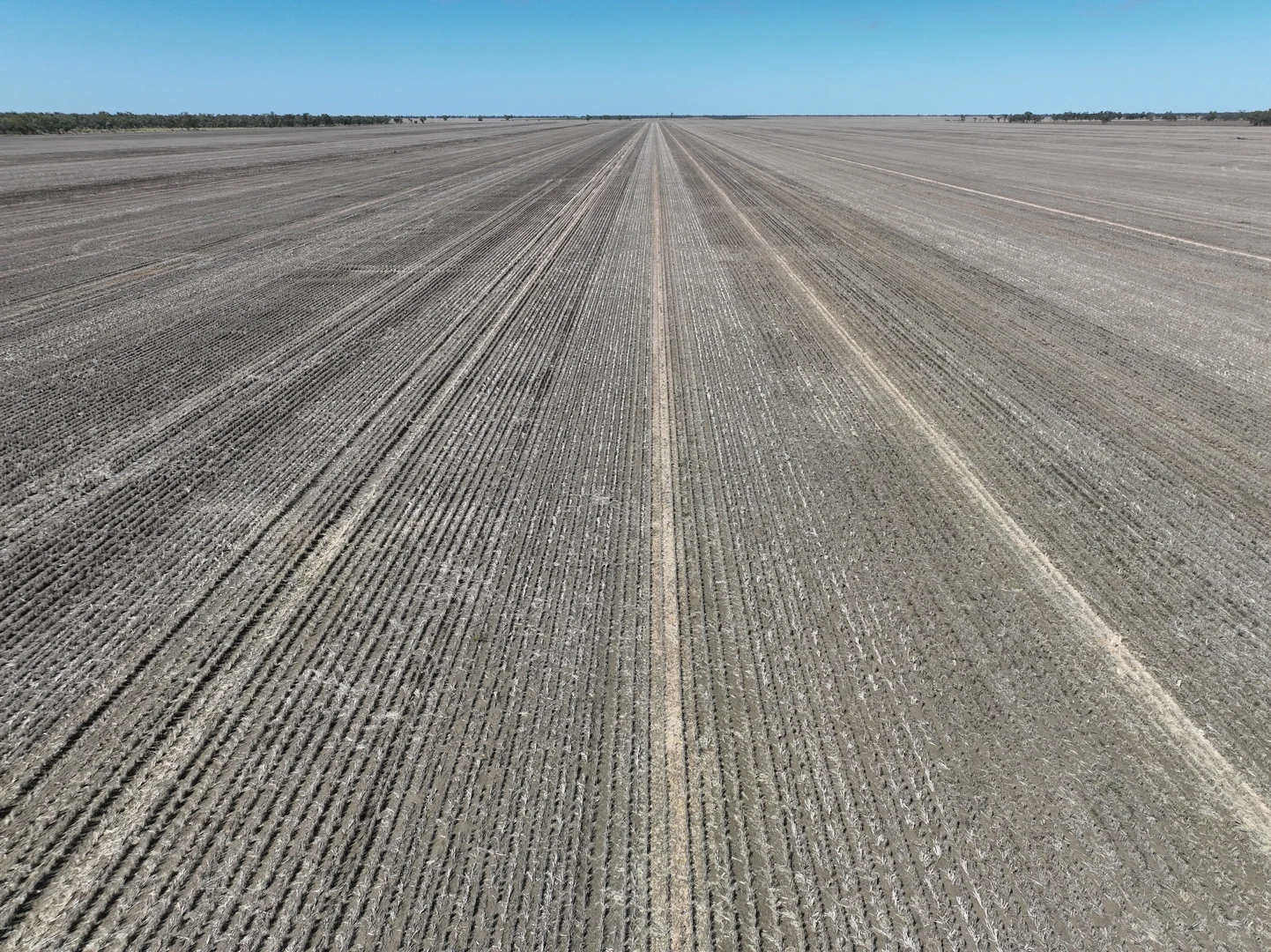 Additional image 11 of . Sunnyside Lane, Wee Waa NSW 2388