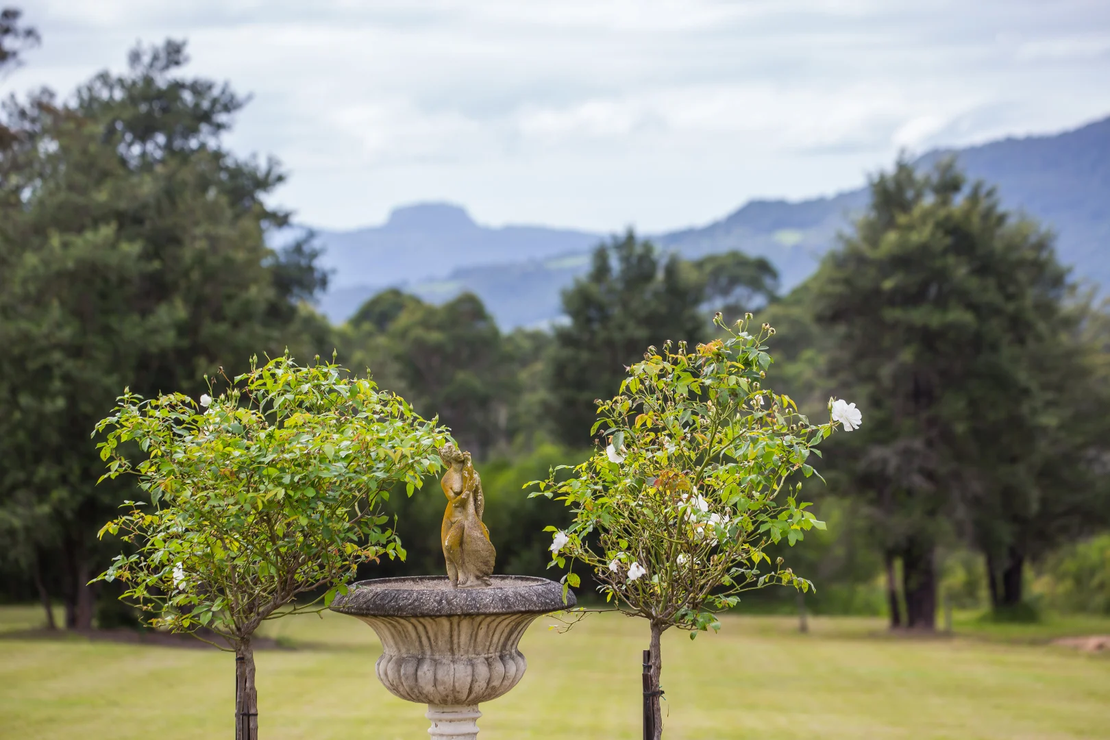 Additional image 33 of 18 Radiata Road, Kangaroo Valley NSW 2577