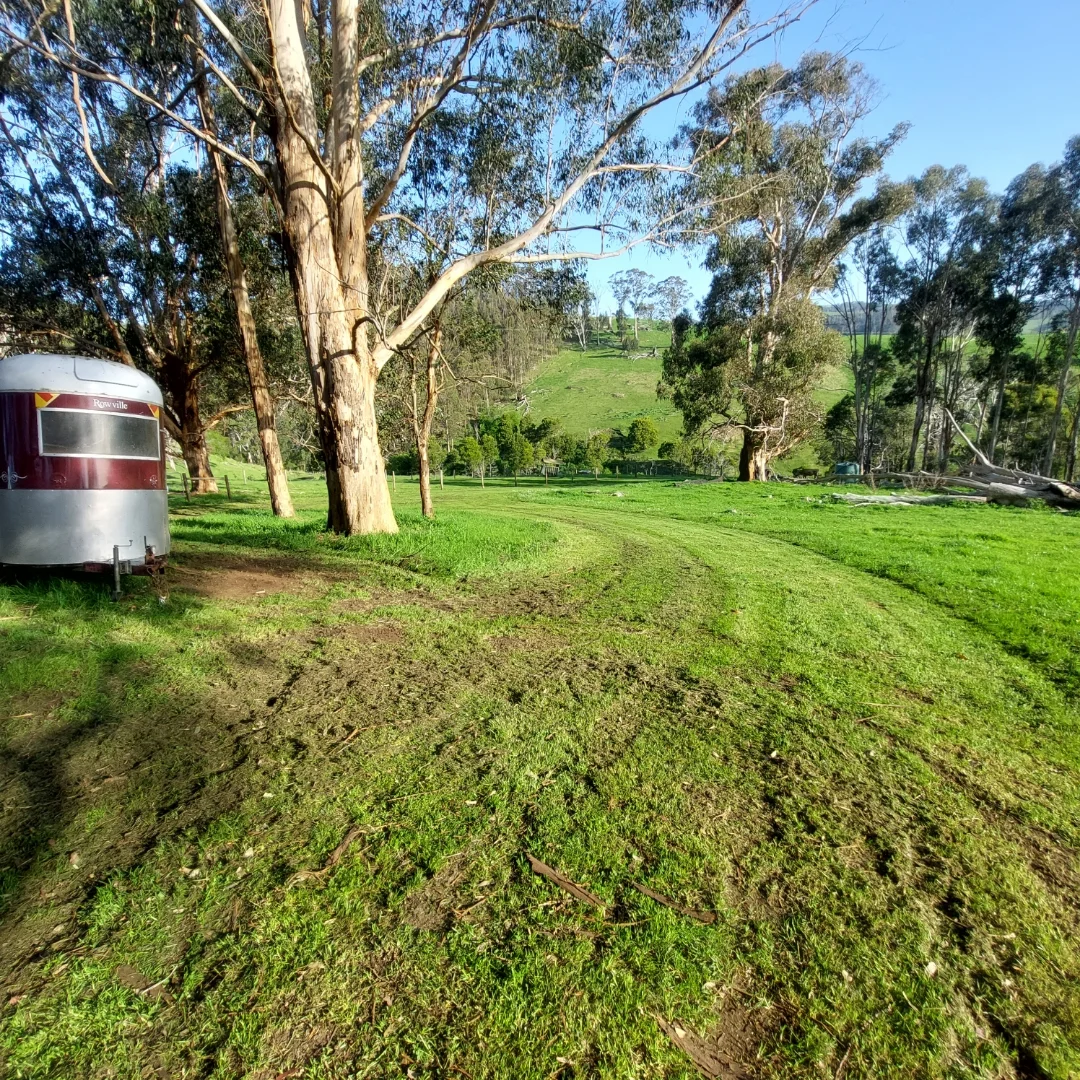 Additional image 5 of 114 Healeys Road, Yinnar South VIC 3869