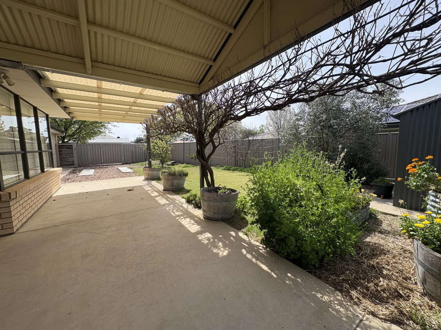 Additional image 14 of 12 Laffer Avenue, Nuriootpa SA 5355